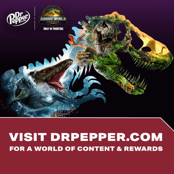 Dr Pepper Soda. 12 fl oz cans - Image 3
